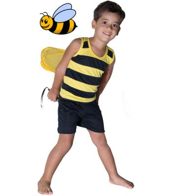 Bee Costume with Wire Wings